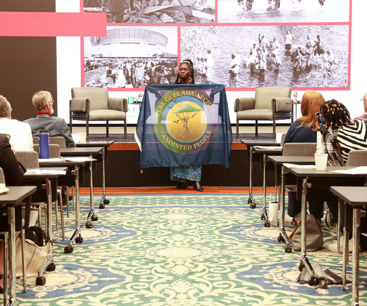 Climate Summit 24 (2)